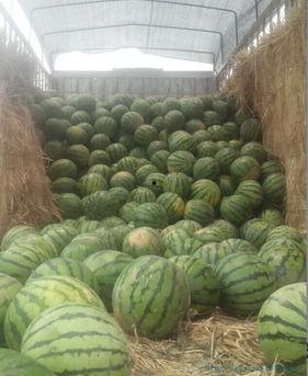 阿桥吃瓜,揭秘娱乐圈背后的那些事儿